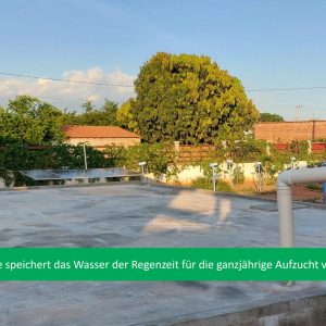 Bild11