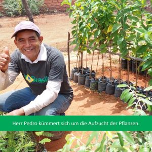 Bild14